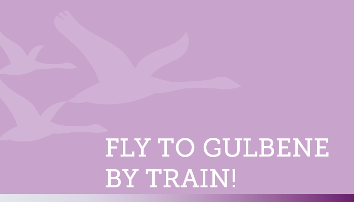 Fly to Gulbene by train!