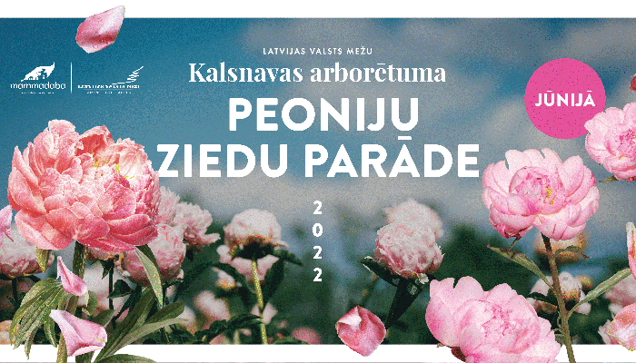 Peoniju ziedu parāde LVM Kalsnavas arborētumā